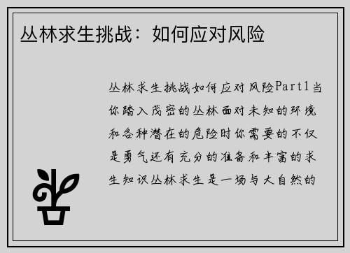 丛林求生挑战：如何应对风险